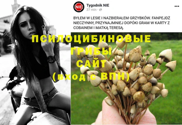 MDMA Осташков